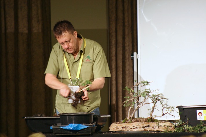 Andrew's demo17