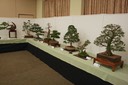 Exhibition Opening11