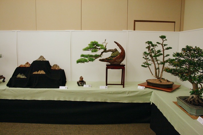Exhibition Opening13
