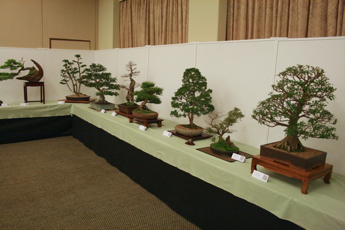 Exhibition Opening11