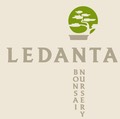 Ledanta Logo