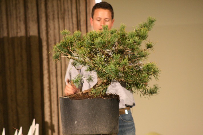 Ryan Neil demo 201