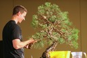 Ryan Neil Red Pine47