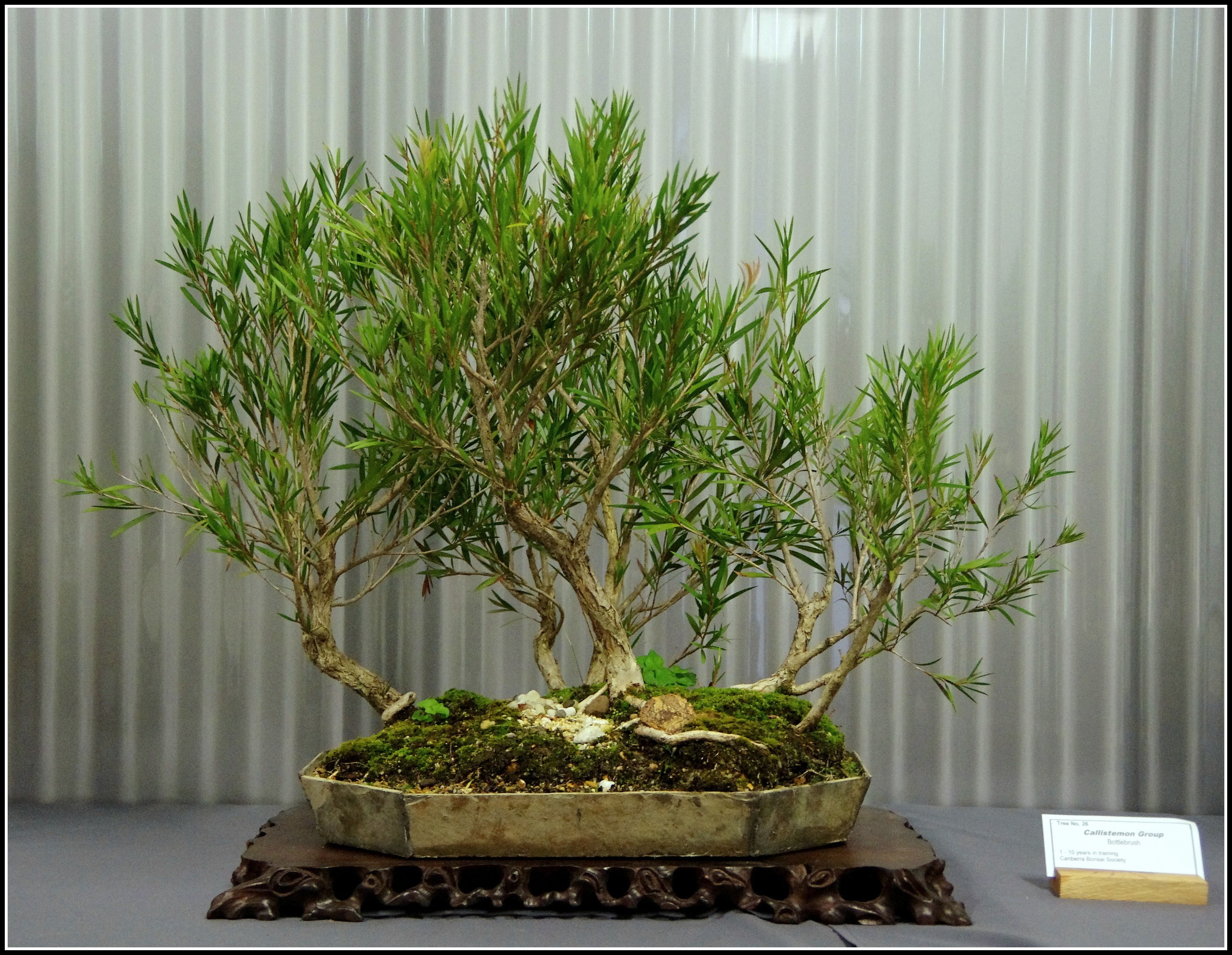 26 - large.jpg