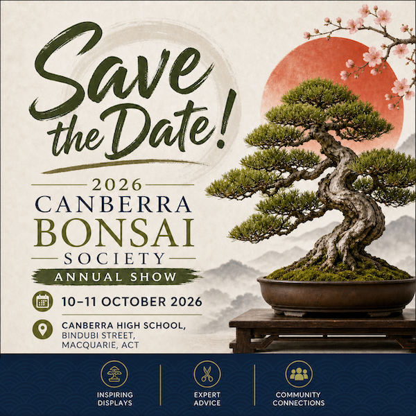 Save the Date